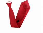 紅色布質長領帶